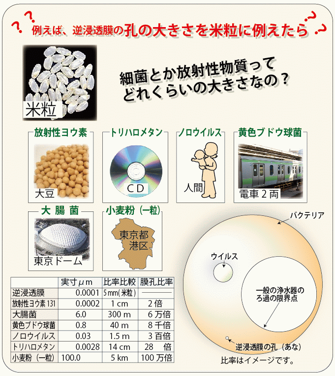 例えば、逆浸透膜の孔の大きさを米粒に例えたら細菌とか放射性物質ってどれくらいの大きさなの？