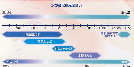 ピュアラジカル